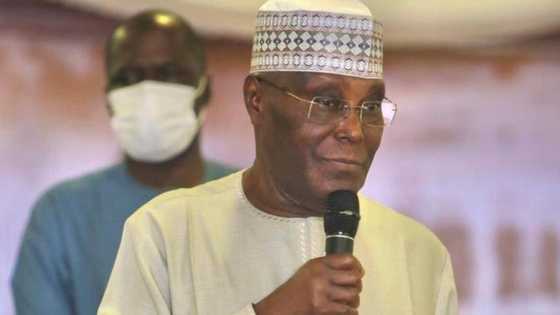 Atiku's aide faults Yoruba Muslim scholars' position on who should be Buhari’s successor