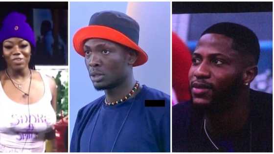 BBNaija: Nigerians react as Angel and Sammie argue after she kissed new housemate Kayvee
