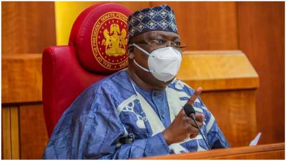 Lawan Reveals Salaries of Senators, Reps says it’s lowest of any presidential democracy