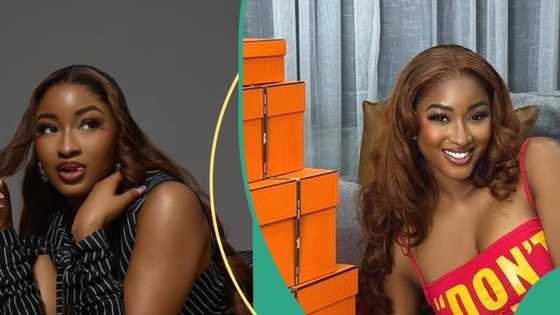 "Some could be fake": Kim Oprah displays three Hermes bags on Boxing Day, expresses excitement