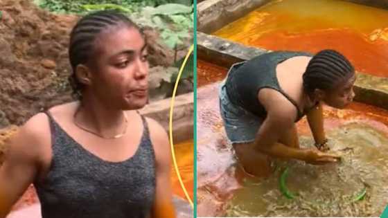 “I will not give up”: Hardworking young lady shows off her oil business, feeding herself and sibling