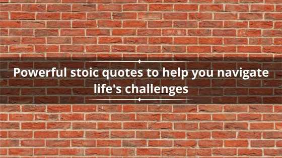 60 powerful stoic quotes to help you navigate life's challenges