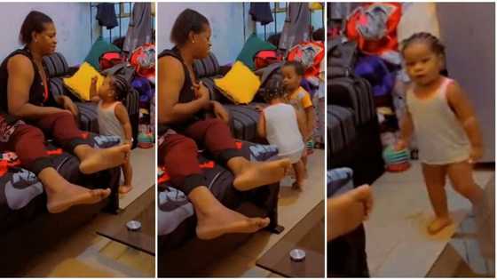"Carry your baby and leave this house": Little girl confronts her aunt, video of her action goes viral