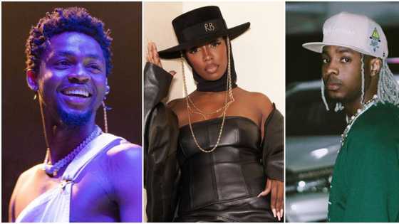 Omah Lay, Young Jonn and other young male celebrities who have expressed love for Tiwa Savage