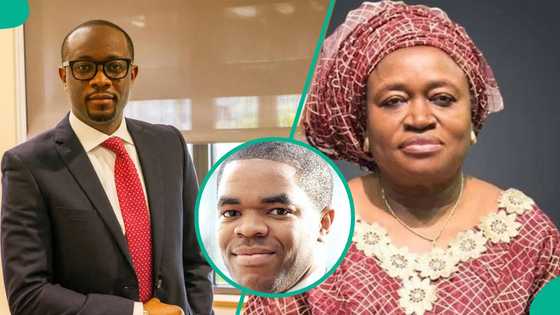CBN approves JPMorgan Merchant Bank: Meet 5 Nigerians appointed to lead US banking giant