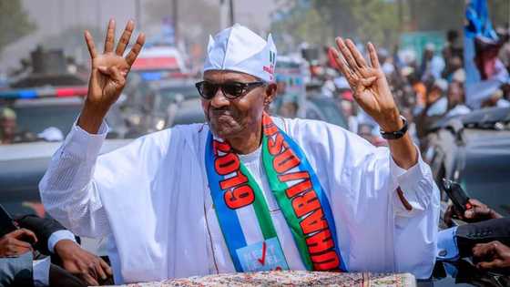 Fadar Shugaban Kasa: Buhari bai taba alkawarin mai da Naira daidai da dala ba
