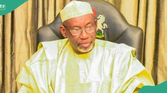 2026 Hajj: Jubilation as Nigerian Governor provides special meals for pilgrims