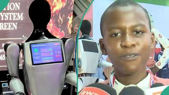 Borno students build robot teacher for crisis-hit communities