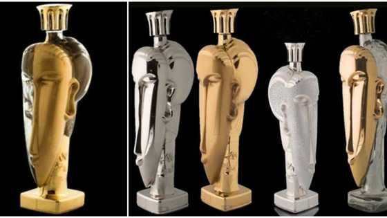 Check out world's most expensive bottled water which is sold for over N22 million
