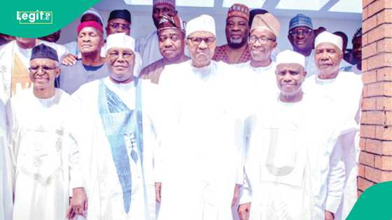Zaben 2027: An ji dalilin 'yan siyasa na tururuwar kai wa Buhari ziyara a Kaduna