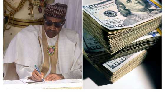 Nigeria $149.32 billion: Top African countries with savings in US dollars