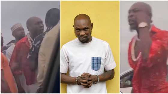 “Policeman was drunk and hit their car”: Seun Kuti’s manager reveals what happened between singer and officer