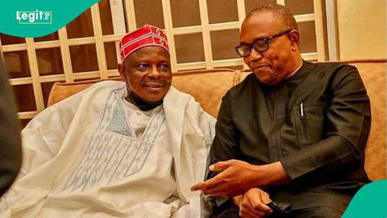 Masoya Kwankwaso da Obi sun yi riga malam masallaci, sun fara shirin kamfen