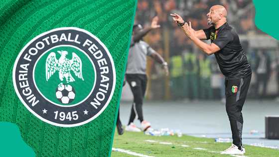 Eric Chelle: Key reasons why NFF appointed ex-Mali coach for Super Eagles surfaces