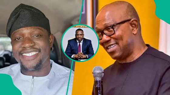 “Reasons VDM is more useful than Peter Obi”: Tinubu’s aide fires shots at ex-gov in new interview