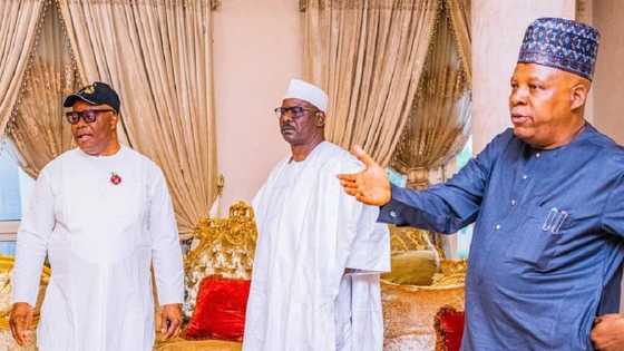 Majalisa Ta 10: Kashim Shettima Ya Bayyana Dan Takarar Da Ya Cancanci Shugabantar Majalisar Dattawa
