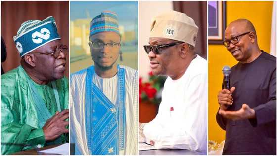 2023: Nan Babu Dadewa Wike da Tawagarsa Zasu Koma Wurin Tinubu, 'Dan APC Yayi Hasashe
