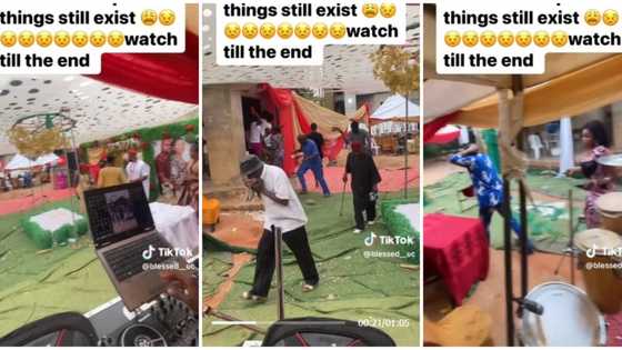 "Dem go try the gods": Drama at Anambra wedding as bees attack guests, people run for their lives in video