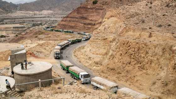 Ethiopia 'dismayed' over US, EU envoys' Tigray stance