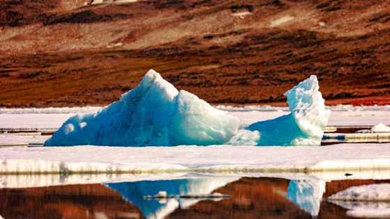 Arctic warming four times faster than rest of Earth: study
