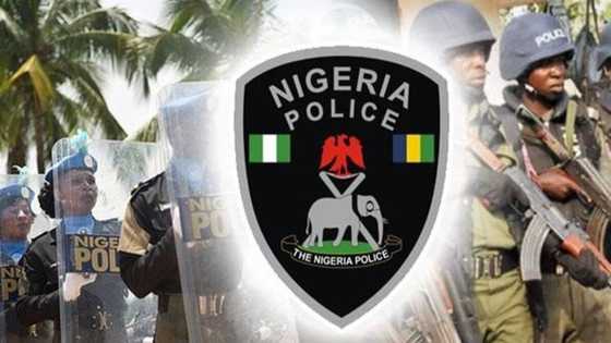 Top 10 functions of the Nigerian Police Force and brief history