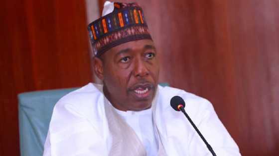 Zulum: Boko Haram za ta zama tamkar wasan yara idan aka bari ISWAP ta girma