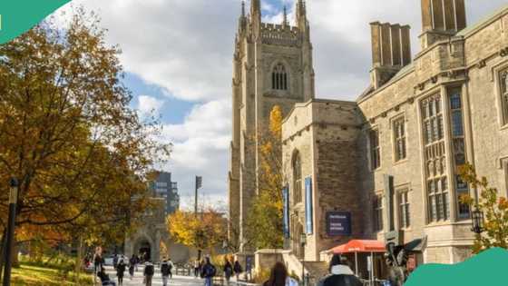 “Full tuition for 4 years”: Canada invites Nigerians to apply for fully-funded scholarship