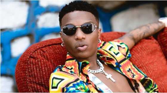 64th Grammy Awards: Wizkid's die-hard fans go gaga as singer bags 2 solid nominations