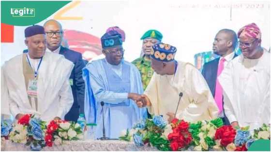 BREAKING: APC nullifies Edo governorship primary, gives reason, other details