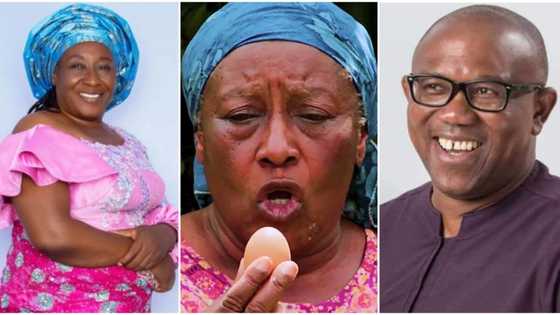 2023 Election: Patience Ozokwo reacts as man begs her to use her ‘magical powers’ to make Peter Obi win