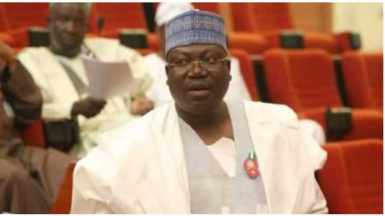 Senate presidency: Lawan is a detribalised, bi-partisan Nigerian - Niger senators make strong case for colleague