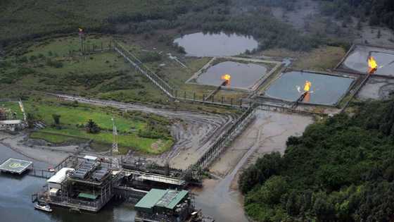 Next Dangote set to Emerge as FG Issues Oilfield licenses to successful companies, 17 years after the last