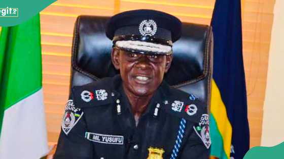 Borno Police Command arrests 721 suspects, recovers explosives in 2024