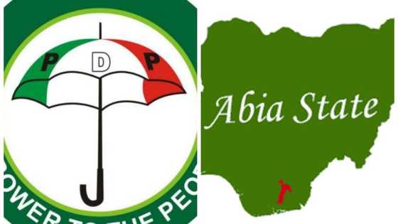 Da Ɗumi-Dumi: Tsohon Shugaban Jam'iyyar PDP Na Wata Jiha Ya Mutu