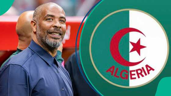 Algeria set to dump interest in Super Eagles coach Eric Chelle for new target