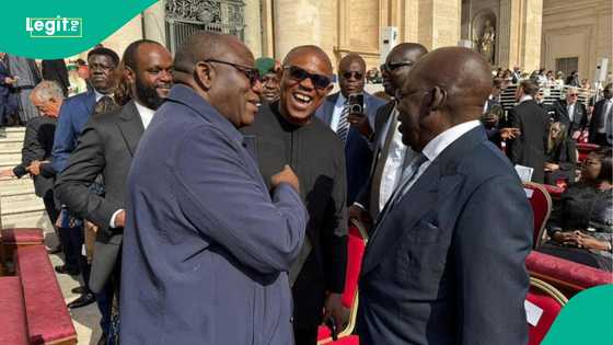 Pope Leo inauguration mass: Peter Obi shares why he didn't personally meet new Catholic Church head