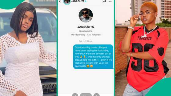 Lady who resembles Jarvis shares unanswered message she sent her over 163 days ago, many react