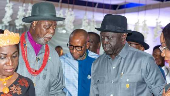 Amnesty boss urges support of traditional rulers to reform programme