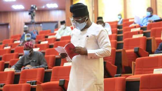 Our country is bleeding, let us shutdown National Assembly - Senator Smart Adeyemi blows hot