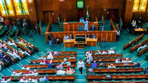 Gbajabiamila swears-in new Rep members as Doguwa returns as majority leader