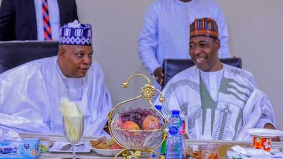 Zulum: Na Ji Daɗi Kasancewa Tinubu Da Shettima Ne Za Su Gaji Buhari