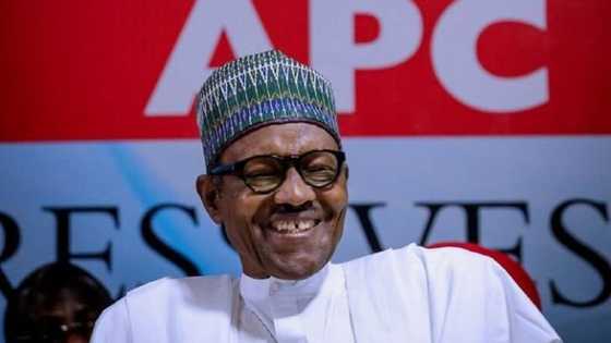 Buhari ya cika da farin ciki yayinda aka saki daliban makarantar Kagara