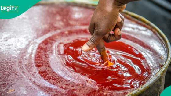 FG moves to crash palm oil prices, slashes import tariffs by 17 per cent