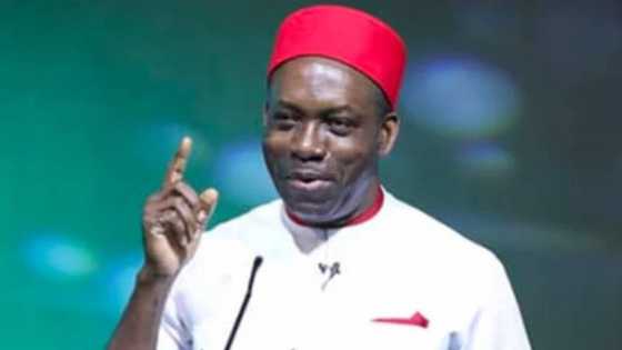Idan dama taki: Gwamna zai gayyaci bokaye da 'yan bori a jiharsa su fatattaki 'yan ta'adda