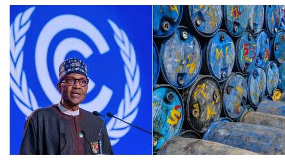 In five years, Nigeria earned $1195.11 billion exporting crude oil