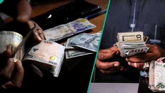 N1,338: CBN releases new exchange rates as naira gains against dollar