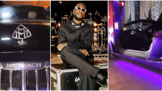 N460m Lamborghini SVJ, N104m Maybach, other estimates of luxury cars in Burna Boy's garage