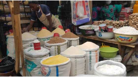 Legit.ng weekly price check: Lagos trader reacts as Bag of rice sells for N43,000 in popular market