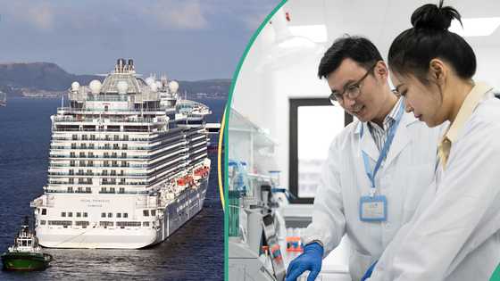 Over 140 fall ill on cruise ship hit by unknown disease