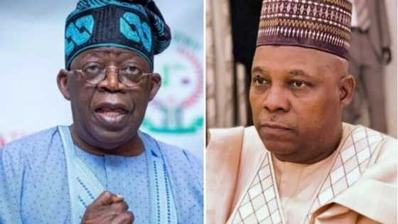 Tinubu zai kawo 80% na kuri'un Yarbawa, jigon APC ya fadi ta yaya hakan zai faru